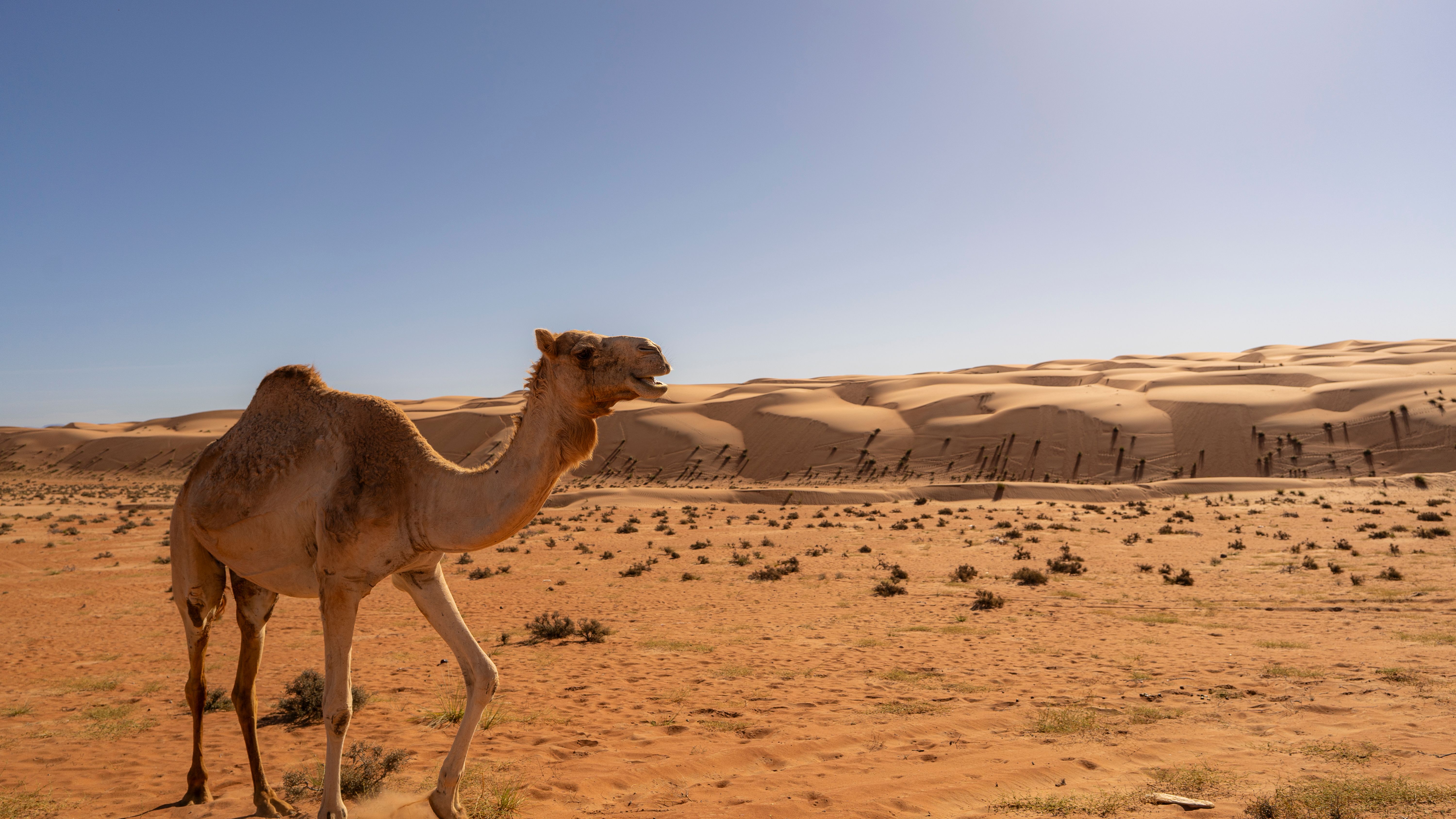 Dubai & Oman Combination Tour