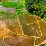 Authentic Tour of Sri Lanka